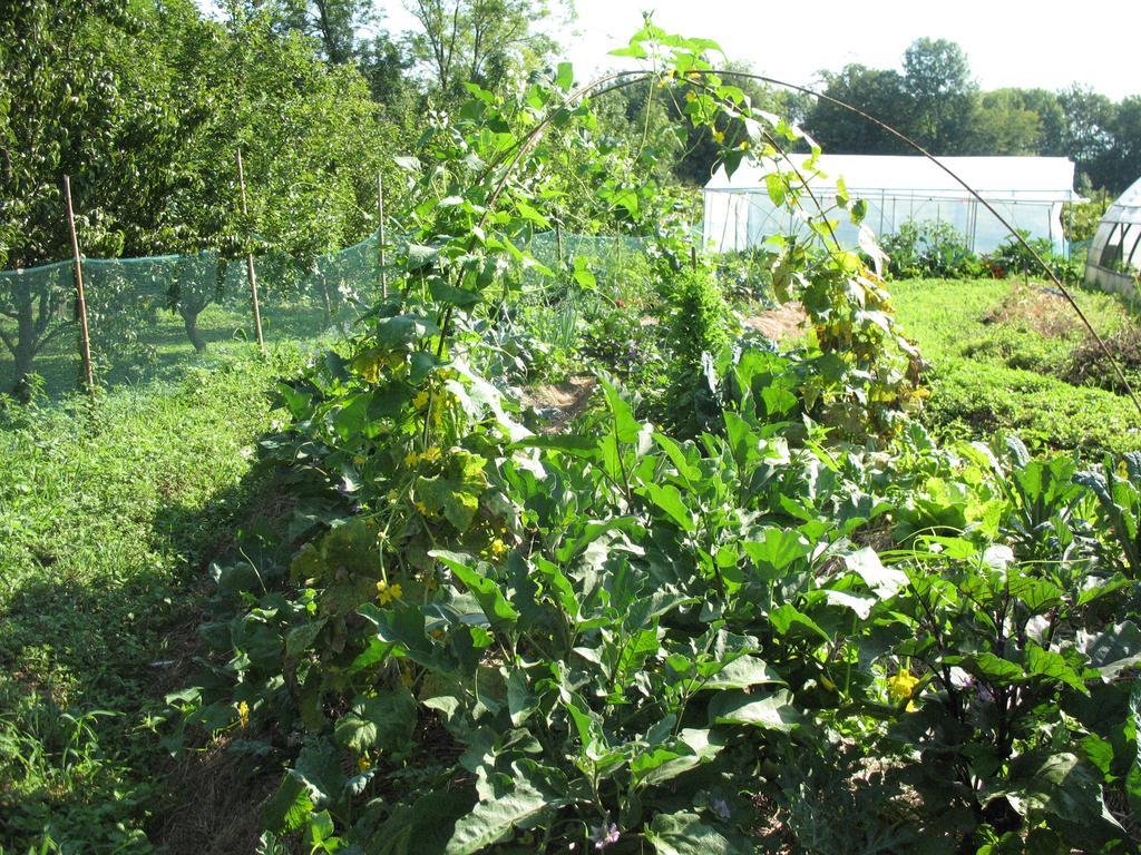 Bioagriturismo Vegan Campo Di Cielo Cesiomaggiore Zewnętrze zdjęcie