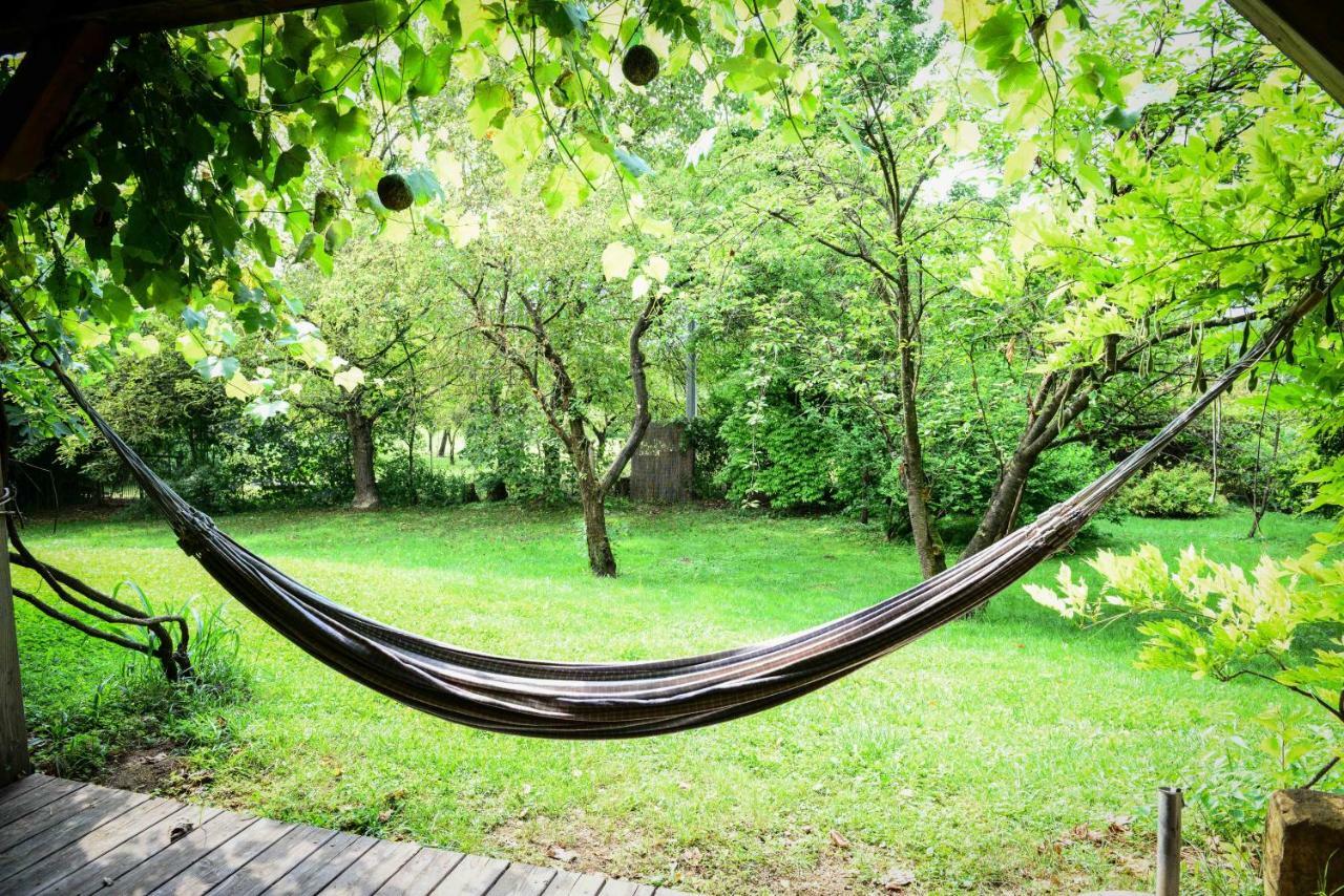 Bioagriturismo Vegan Campo Di Cielo Cesiomaggiore Zewnętrze zdjęcie