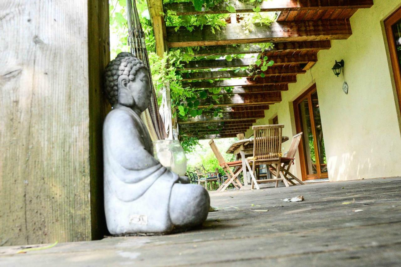 Bioagriturismo Vegan Campo Di Cielo Cesiomaggiore Zewnętrze zdjęcie